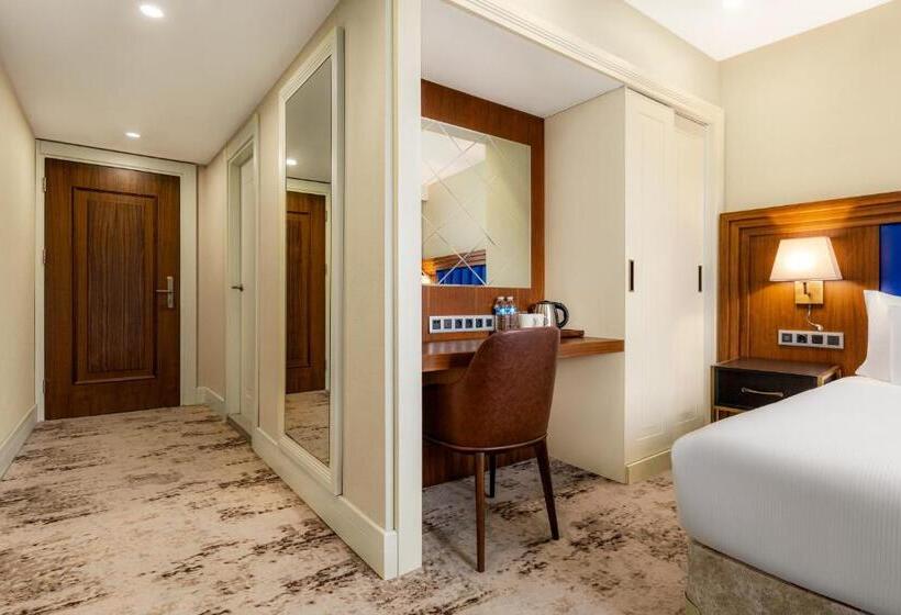 اتاق سوپریور با چشم‌انداز استخر, Ramada Plaza Sultanahmet