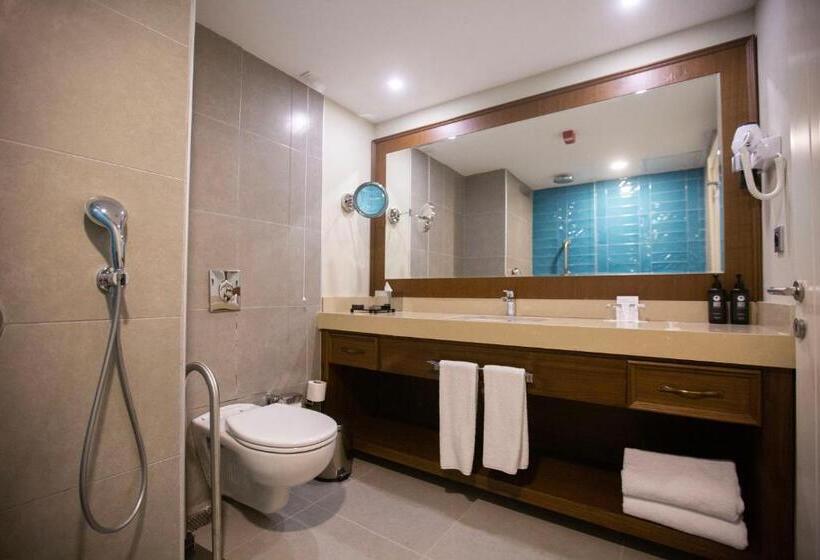 اتاق استاندارد برای معلولان, Ramada Plaza Sultanahmet
