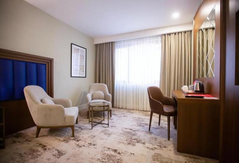 اتاق استاندارد برای معلولان, Ramada Plaza Sultanahmet