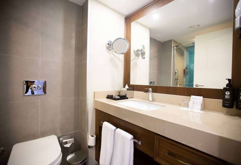 اتاق سوپریور, Ramada Plaza Sultanahmet