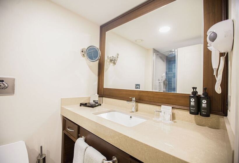 اتاق پرمیوم, Ramada Plaza Sultanahmet