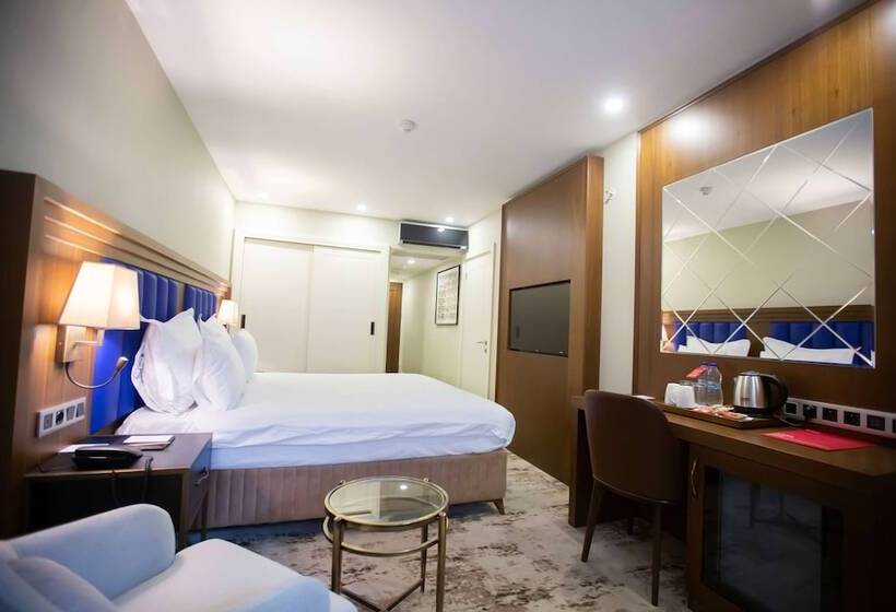 اتاق سوپریور با چشم‌انداز استخر, Ramada Plaza Sultanahmet