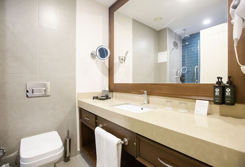 اتاق سوپریور با چشم‌انداز استخر, Ramada Plaza Sultanahmet