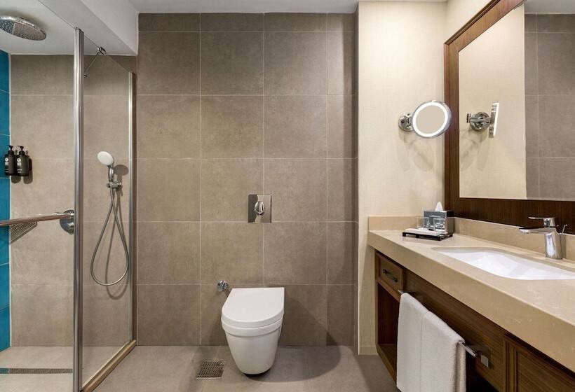اتاق سوپریور با چشم‌انداز شهر, Ramada Plaza Sultanahmet