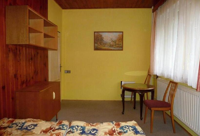 اتاق استاندارد, Pod Sněžníkem