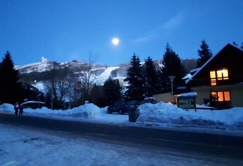 خانه 1 خوابه, Pod Sněžníkem