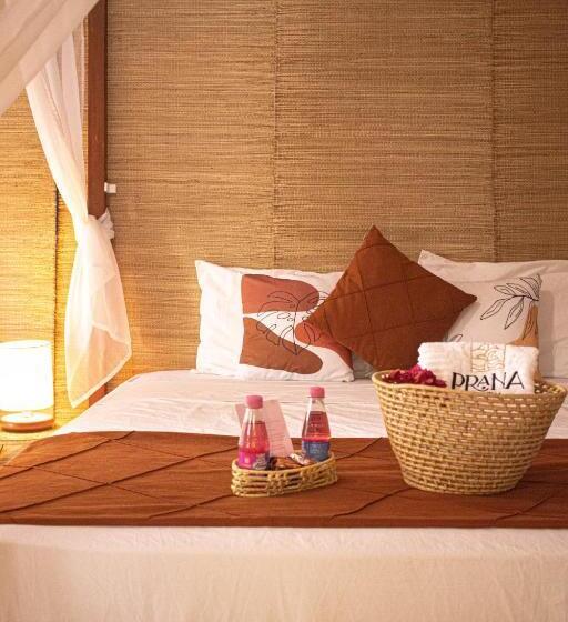 اتاق ساده سه‌ نفره, Prana Eco Villa