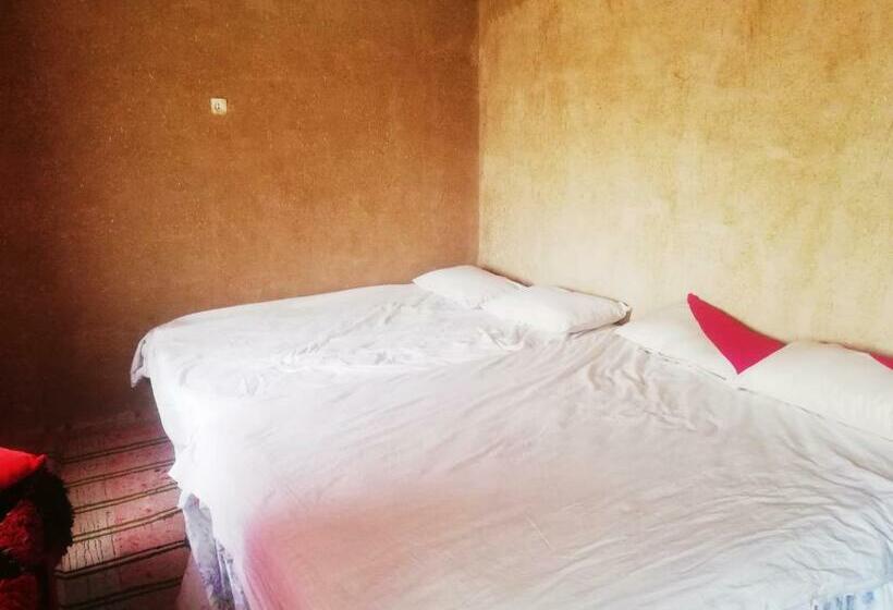 اتاق استاندارد, Oasis Travel