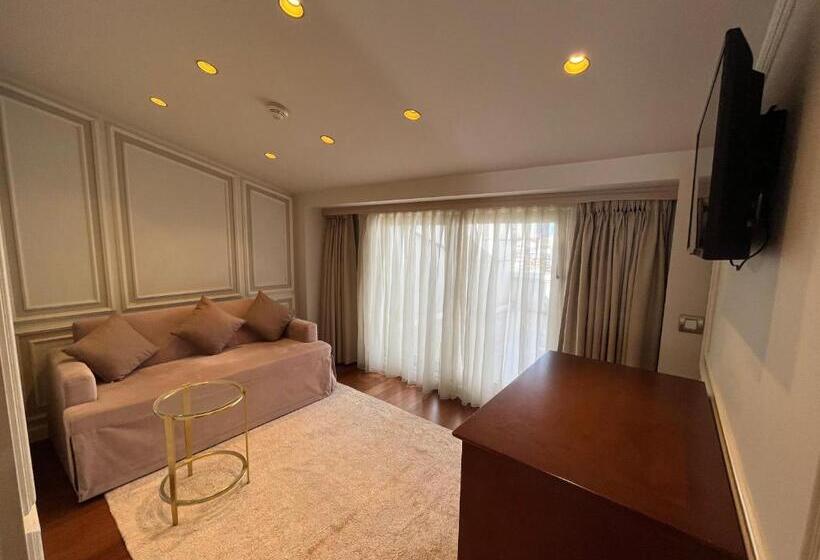 اتاق استاندارد با تخت بزرگ, Arcade Hotel & Spa Nisantasi