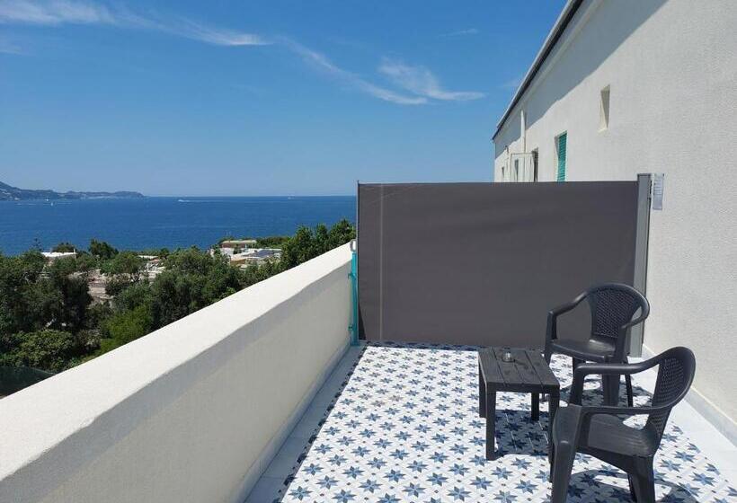 اتاق استاندارد, Riviera