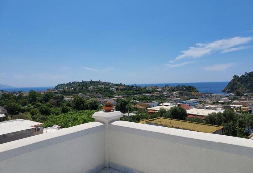 اتاق استاندارد, Riviera