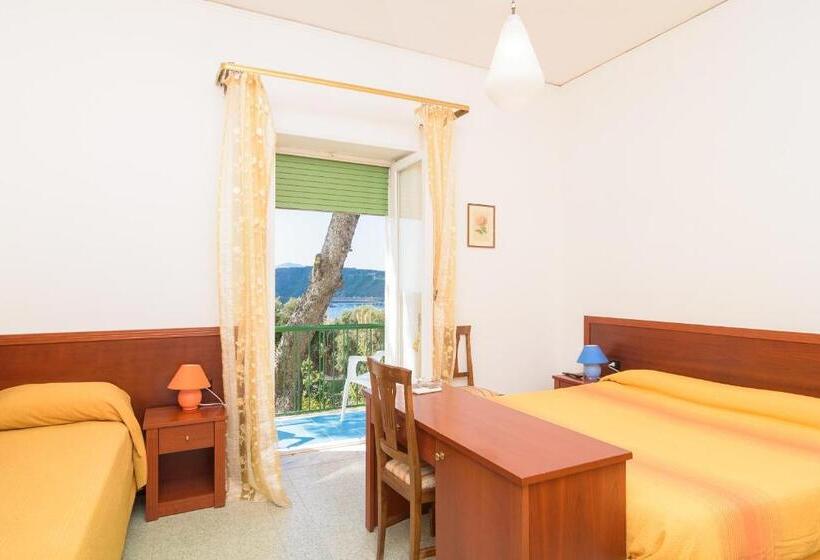 اتاق استاندارد سه نفره, Riviera