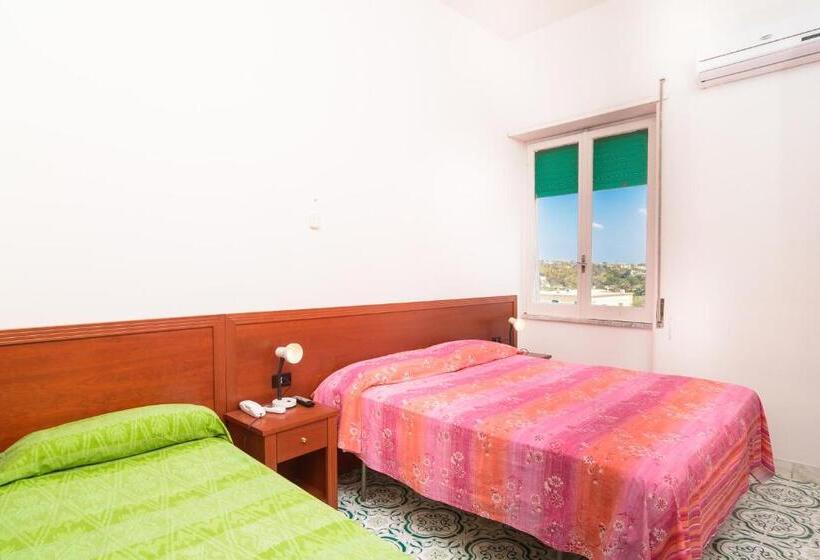 اتاق استاندارد چهار تخته, Riviera