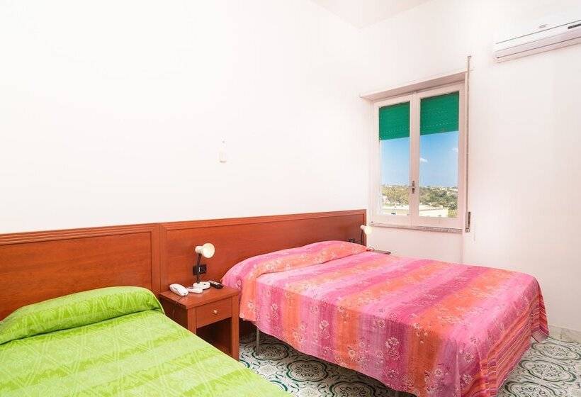 اتاق استاندارد سه نفره, Riviera