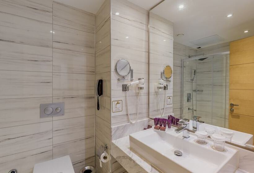 اتاق استاندارد با چشم‌انداز دریا, Mary Hotels Alanya