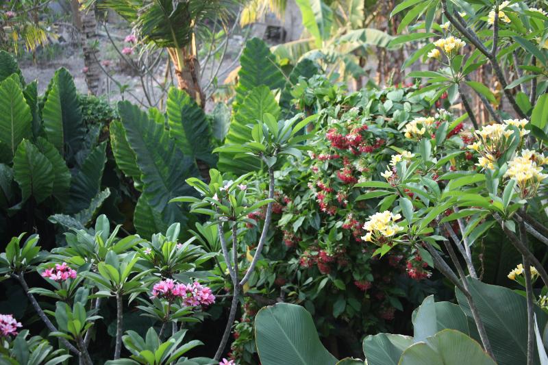 اتاق استاندارد با چشم‌انداز باغ, Ubud Wana Resort