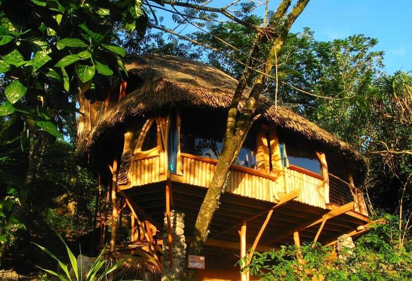 بانگلوی استاندارد, Vanira Lodge