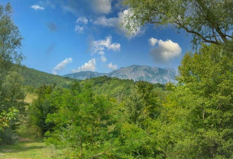 خانه 1 خوابه, Cabana Beta