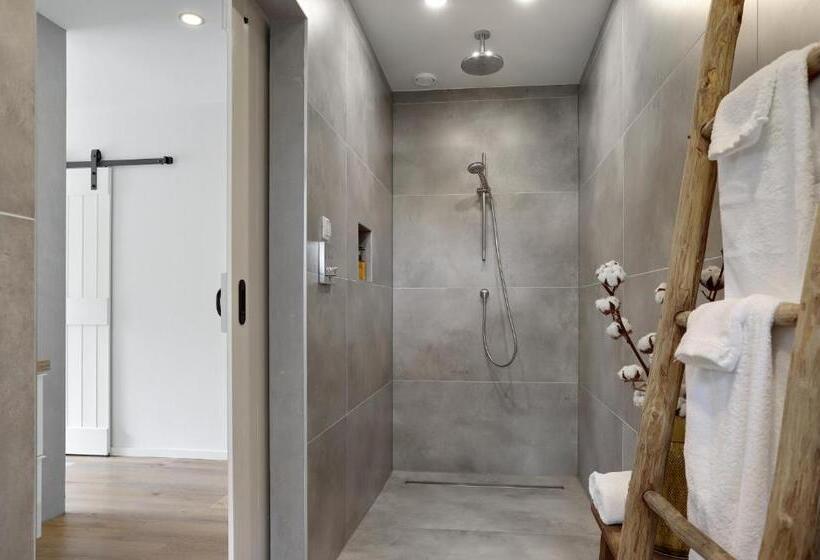 חדר סטנדרט עם טרסה, Vakantiehuis Bij Vermeer