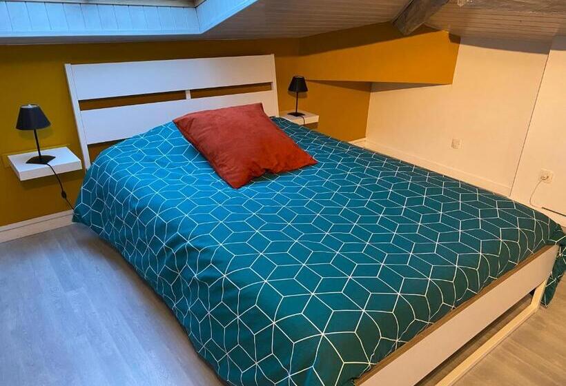 اتاق استاندارد با سرویس بهداشتی مشترک, B&b Insolite Entre Lyon Et Aéroport