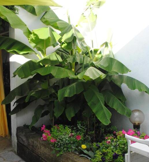 سوییت خانوادگی, Chambres D Hôtes La Tribu