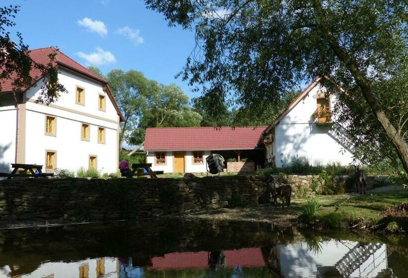 آپارتمان 1 خوابه, Biofarma Dolejší Mlýn