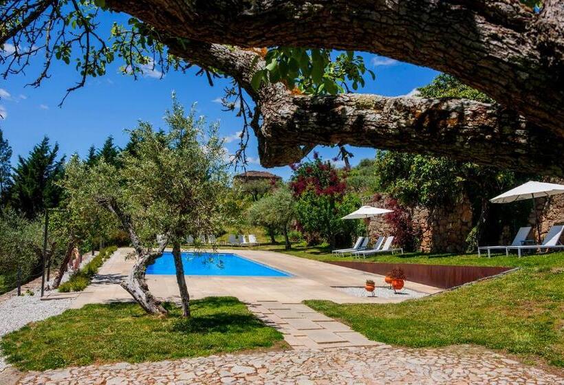 ویلای 1 خوابه, Casal De Tralhariz   Turismo De Habitacao