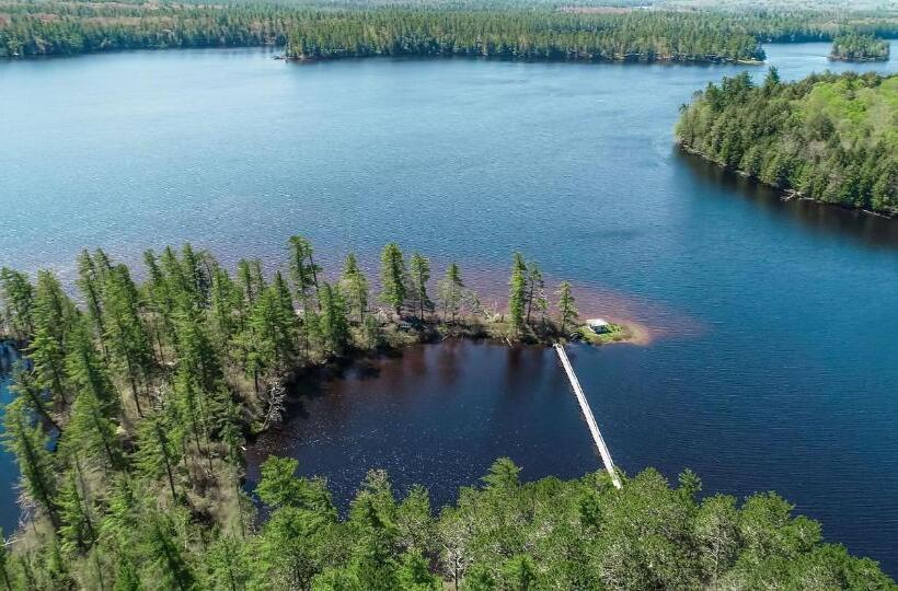 اتاق استاندارد چهار تخته, White Pine Camp