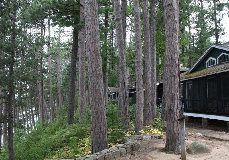 آپارتمان لوکس 1 خوابه, White Pine Camp