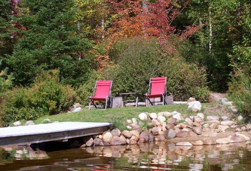 کابین, White Pine Camp