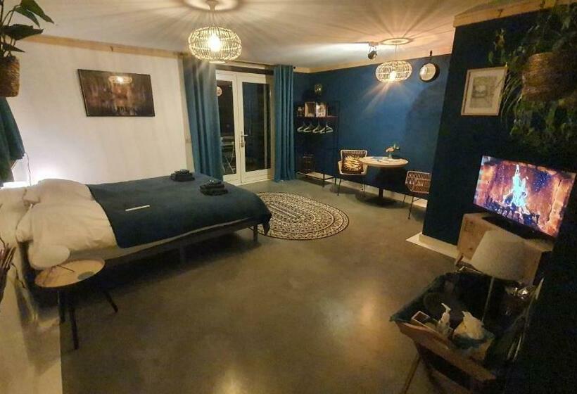 اتاق استاندارد, De Remise