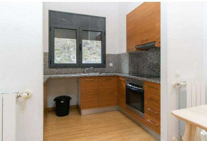 آپارتمان 1 خوابه, Apartamentos Canillo 3000