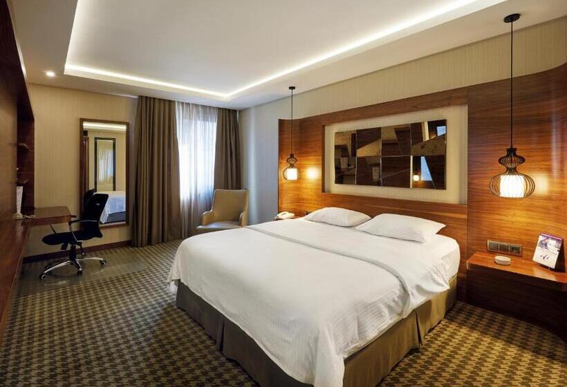 اتاق لوکس یک تخته, Anemon Kent Ankara Otel