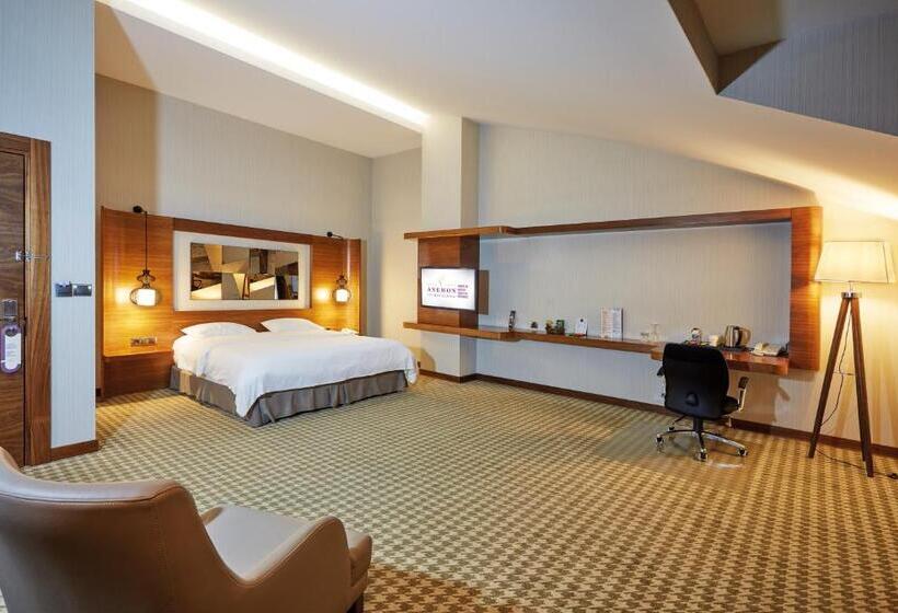 اتاق لوکس یک تخته, Anemon Kent Ankara Otel