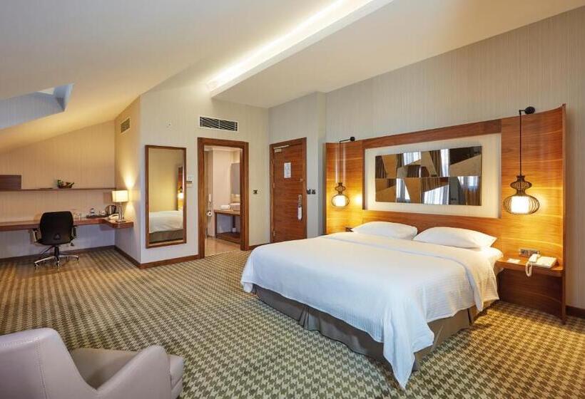 اتاق لوکس یک تخته, Anemon Kent Ankara Otel