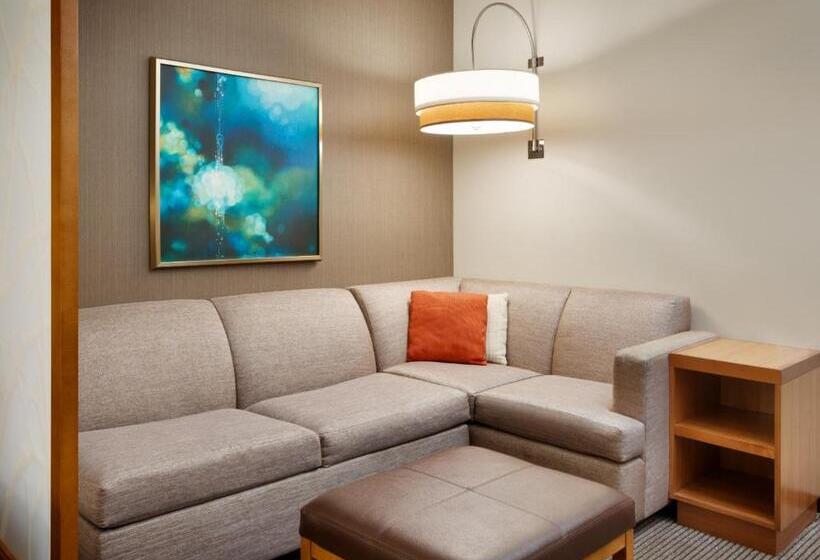 Standard Room Adapted for people with reduced mobility, Hyatt Place Miami Airport East