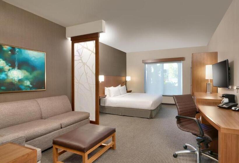 اتاق استاندارد با تخت بزرگ برای معلولان, Hyatt Place Miami Airport East