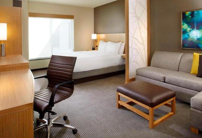 اتاق استاندارد با تخت بزرگ, Hyatt Place Miami Airport East