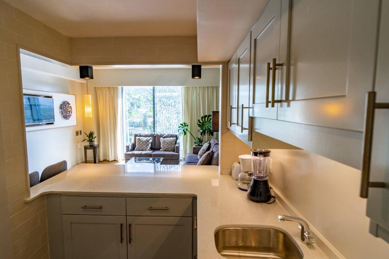 اتاق اجرایی با تخت بزرگ, Marriott Portauprince