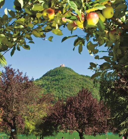 اتاق استاندارد یک نفره, Seegarten