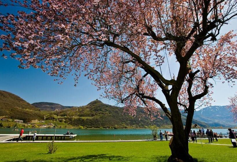 اتاق استاندارد, Seegarten