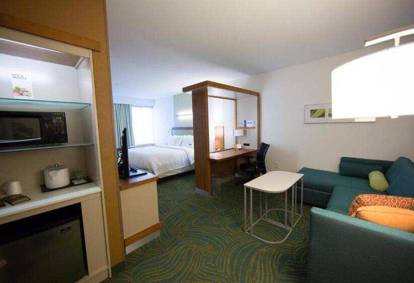 استودیو استاندارد با تخت کینگ, Springhill Suites Lumberton