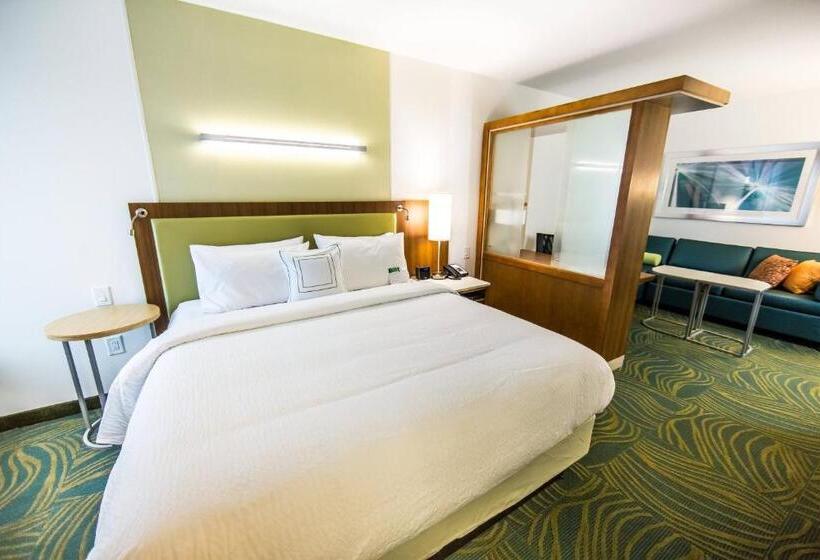 استودیو استاندارد با تخت کینگ, Springhill Suites Lumberton