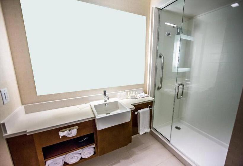 استودیوی استاندارد با تخت دو نفره بزرگ, Springhill Suites Lumberton