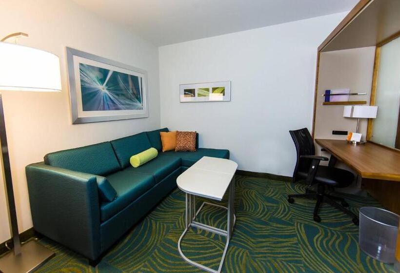 استودیوی استاندارد با تخت دو نفره بزرگ, Springhill Suites Lumberton
