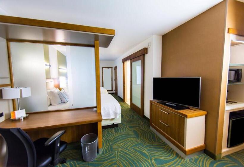 استودیوی استاندارد با تخت دو نفره بزرگ, Springhill Suites Lumberton