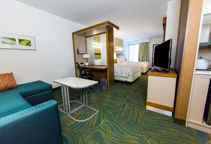 استودیوی استاندارد با تخت دو نفره بزرگ, Springhill Suites Lumberton