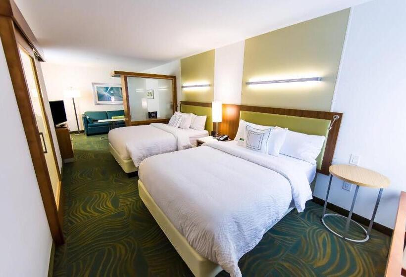 استودیوی استاندارد با تخت دو نفره بزرگ, Springhill Suites Lumberton