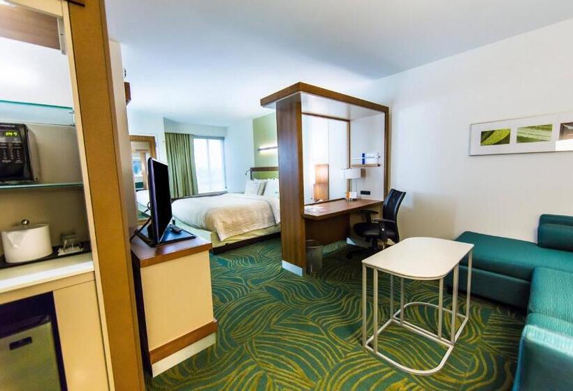استودیو استاندارد با تخت کینگ, Springhill Suites Lumberton