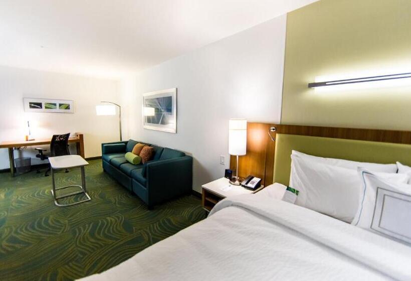 استودیو استاندارد با تخت کینگ, Springhill Suites Lumberton